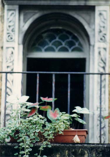 Andie's Garden by artist Cynthia Markert